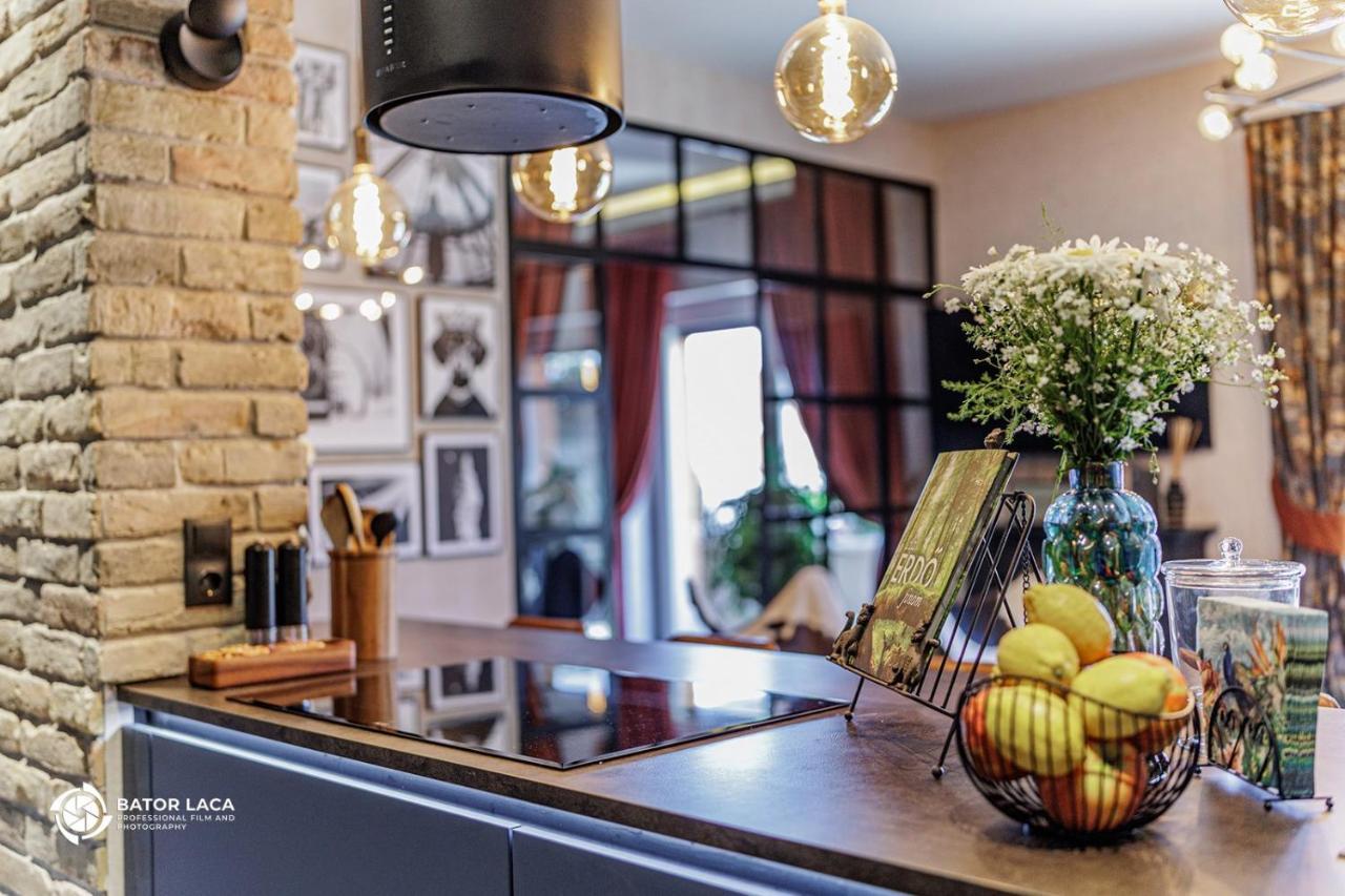 Bükk Penthouse Daire Miskolc Dış mekan fotoğraf