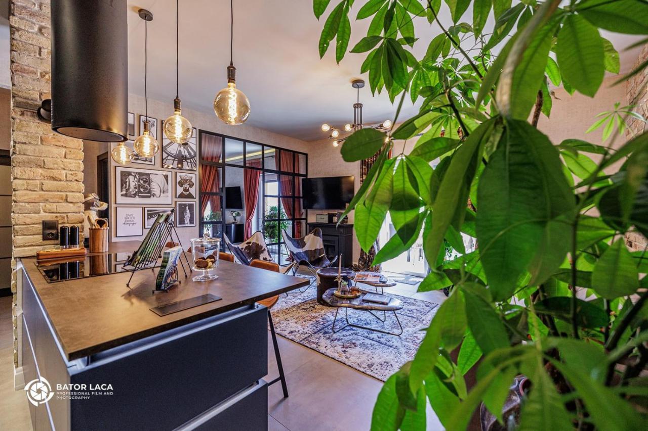 Bükk Penthouse Daire Miskolc Dış mekan fotoğraf
